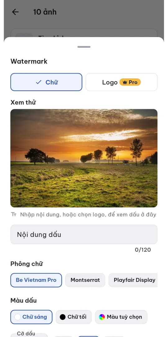 Đóng dấu chữ: xem thử, chọn phông và màu dấu; dấu logo là Pro